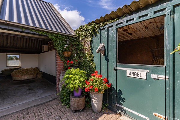Medium property photo - Halbe Wiersemaweg 6, 9365 TB Niebert